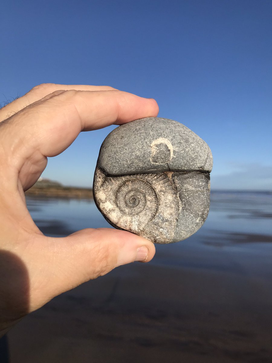 Beach Finds
#Withernsea