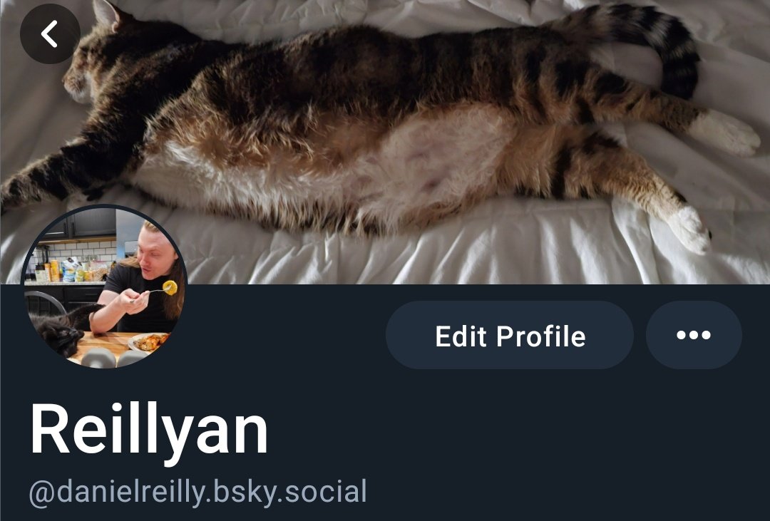 Reillyan tweet media