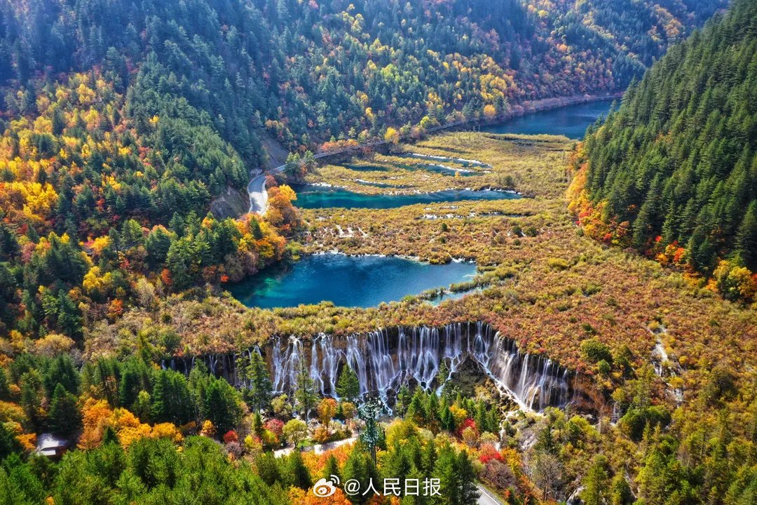 PDChina's tweet image. Every pic is a masterpiece! Jiuzhaigou scenic area, a #UNESCO World Heritage site in SW China’s Sichuan, bursts into a dazzling array of autumn colors, inviting visitors to enjoy an unparalleled #leafpeeping experience in this stunning natural wonder! #ChinaTravel #ChinaAlbum