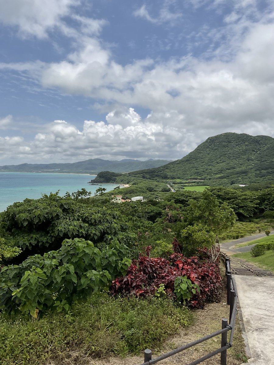 翼　TSUBASA (@kakonso) on Twitter photo 