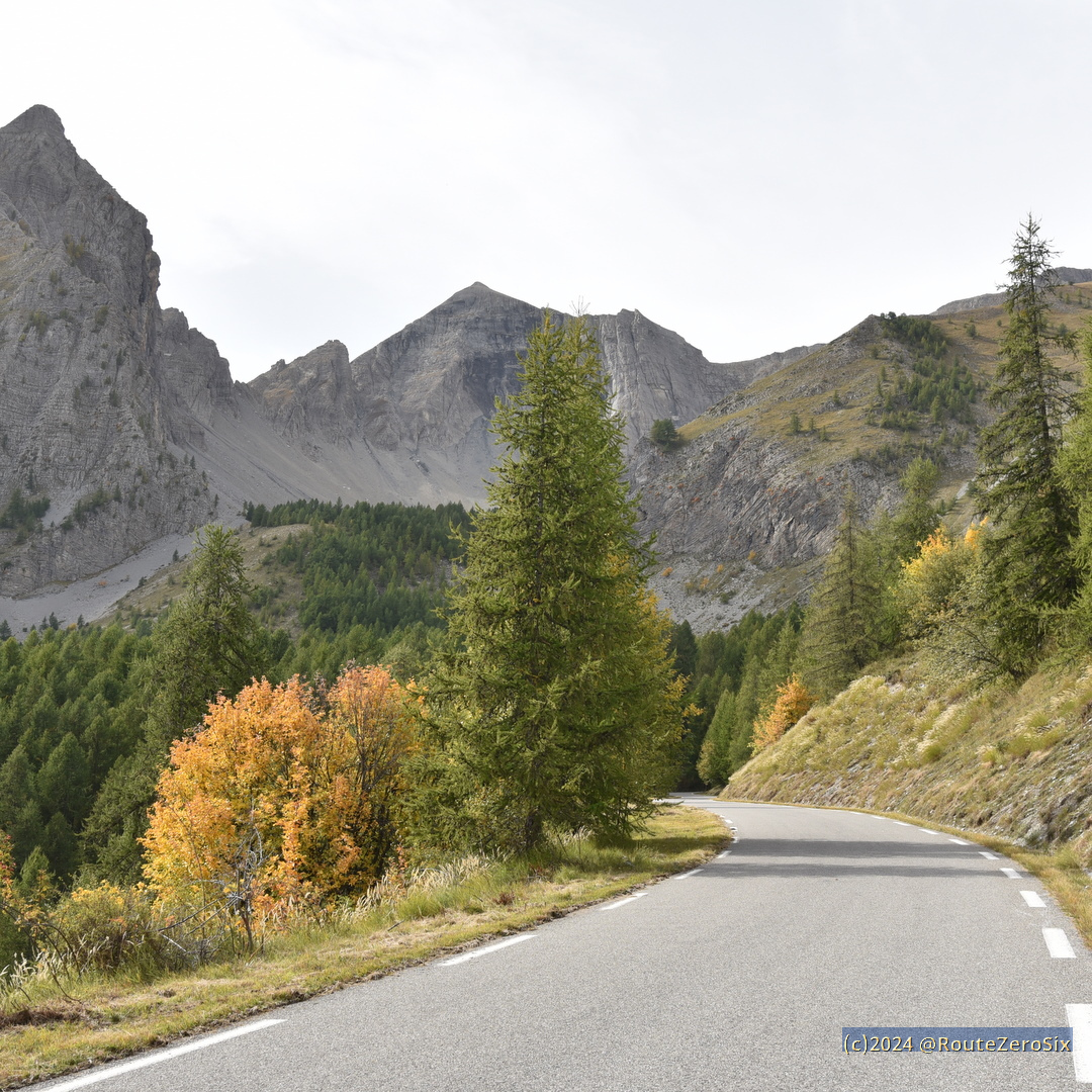 routezerosix's tweet photo. Le col des Champs (2 087 m), trait d'union entre la vallée du Var et le Val d'Allos, et entre le département des Alpes-Maritimes et celui des Alpes-de-Haute-Provence 

#coldesChamps #valleeduVar #ValdAllos #AlpesMaritimes #AlpesdeHauteProvence #BernardThevenet #TDF1975 https://t.co/Tw5BcluY1d