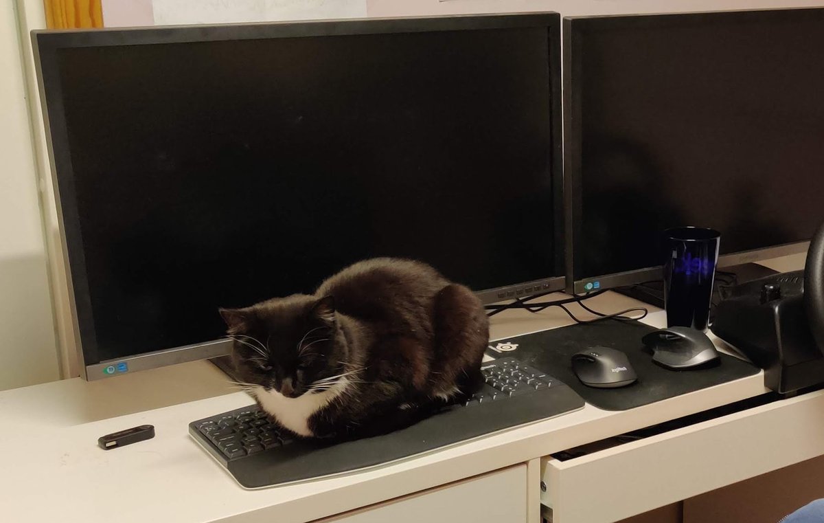 How many other #gamedev or #indiegamedev people on here have pets? Here's a picture of our cat Miss, doing what she likes best, resting on my keyboard. No wonder the game takes ages to finish making. Also, I'm not responsible for the mouse hunting minigame.

#godot #indie