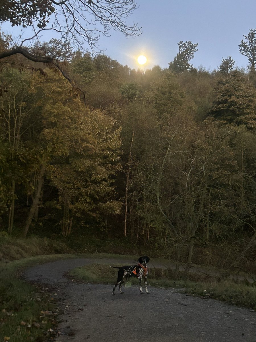 Lucy Clough tweet media