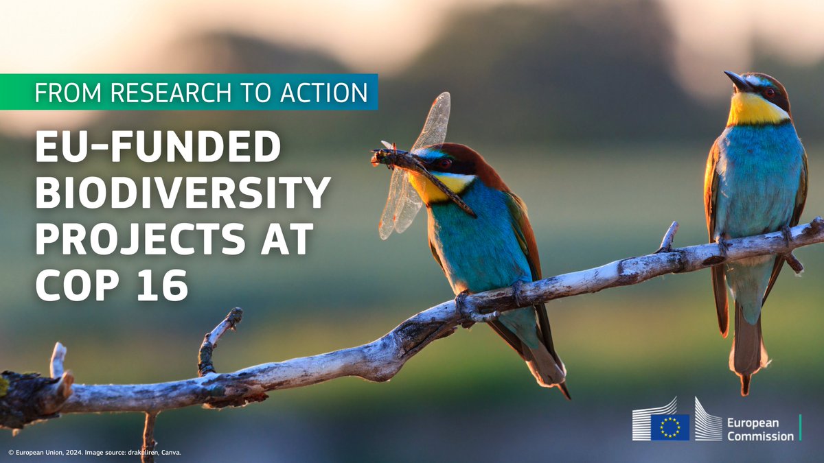 REA_research's tweet photo. A healthy planet needs its #biodiversity protected 🌿

#COP16Colombia will take place between 21 October &amp; 1 November 🌍

Key EU-funded projects, managed by @REA_research, will be a cornerstone on the dialogue for biodiversity preservation.

Read more ➡️ https://t.co/gxXLT5hY1S https://t.co/bYTcpLO1b5