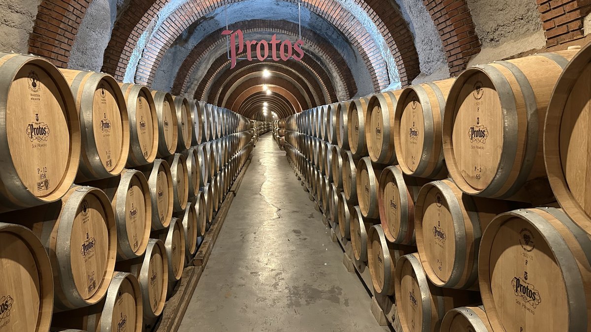 Bodegas Protos tweet media