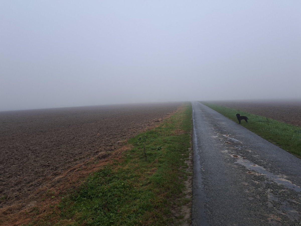 m_gerald1's tweet photo. On est déjà au mois de Novembre ???
#boue #brouillard #humidité https://t.co/cxsKxkQd7v