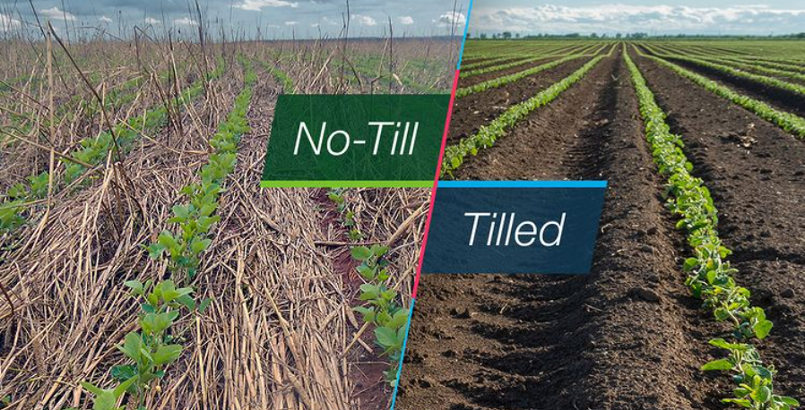 simonmaechling's tweet photo. Modern farming enables farmers to leave the soil undisturbed and promote soil health. 

Practices such as no-till, reduced-till, and conservation tillage allow farmers to reduce or eliminate plowing a field, churning up the soil.

When soil is broken up and turned over in the tilling process it releases carbon stored in the soil and increases the possibilities that the soil will erode via wind or rain.

Reduced tillage practices allow valuable nutrients and moisture to remain in the soil, limit soil erosion, reduce water run-off, and enable farmers to make better use of rainwater. 

These practices have the potential to decrease the need for irrigation and allow farmers to protect freshwater sources. 

No-till methods can also help sequester carbon in the soil. 

With minimal or zero tillage, farmers help prevent greenhouse gases from building up in the atmosphere and help in the fight against climate change.

Another advantage of no-till is that farmers are able to better preserve the ecosystem for earthworms, nematodes, mites, insects, fungi, bacteria, and over 1,000 different species of invertebrates. 

Every decision to leave the soil undisturbed is a commitment to healthier ecosystems.