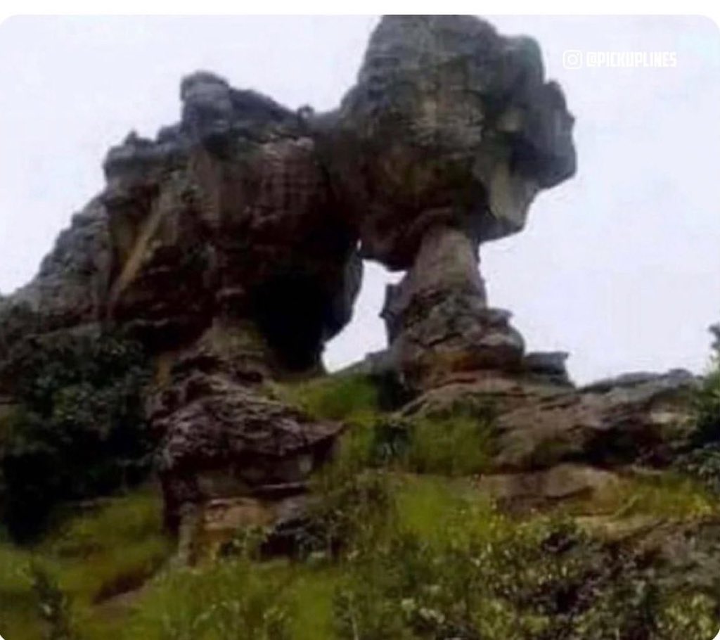 Mercynicky_'s tweet image. 