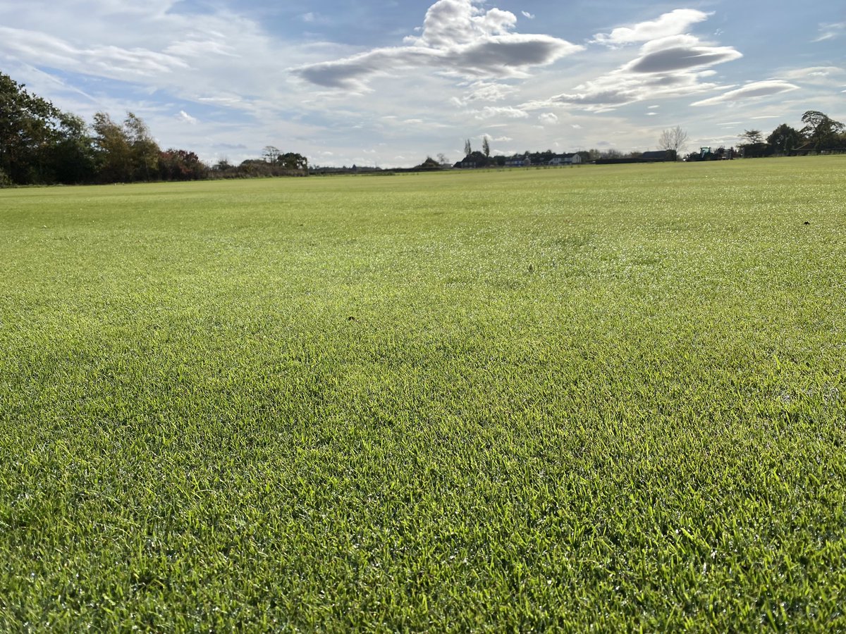 Lancs Turf Supplies (@lancsturf) on Twitter photo Bent turf looking stunning in the autumn sun. <a href="/MoretonGerminal/">Paul Moreton</a>
Hopefully available from mid November Bent turf looking stunning in the autumn sun. <a href="/MoretonGerminal/">Paul Moreton</a>
Hopefully available from mid November