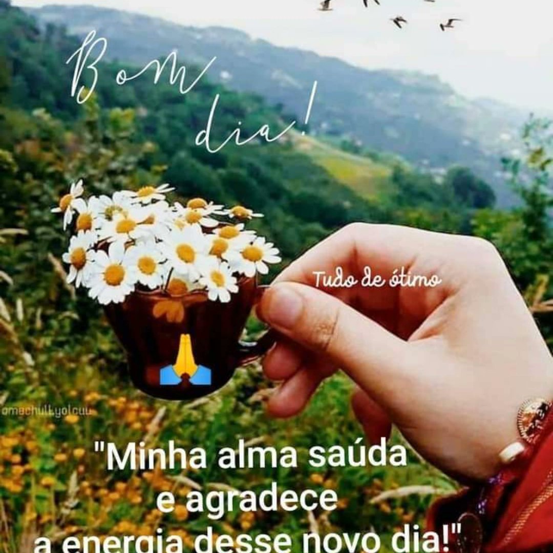 KrailingIsabel's tweet image. 