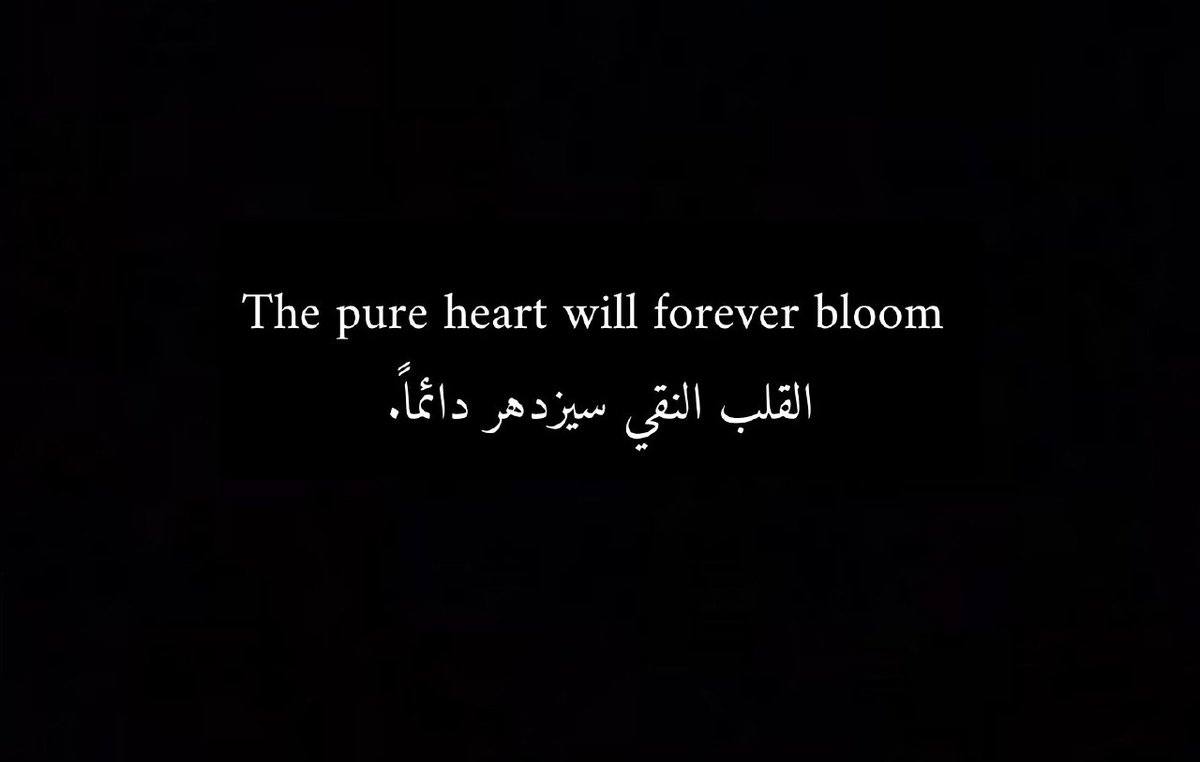 🫶🌹💚🇸🇦💚🇸🇦🌹🫶 tweet media
