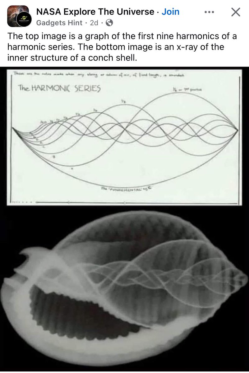 Jennifer Lawler tweet media