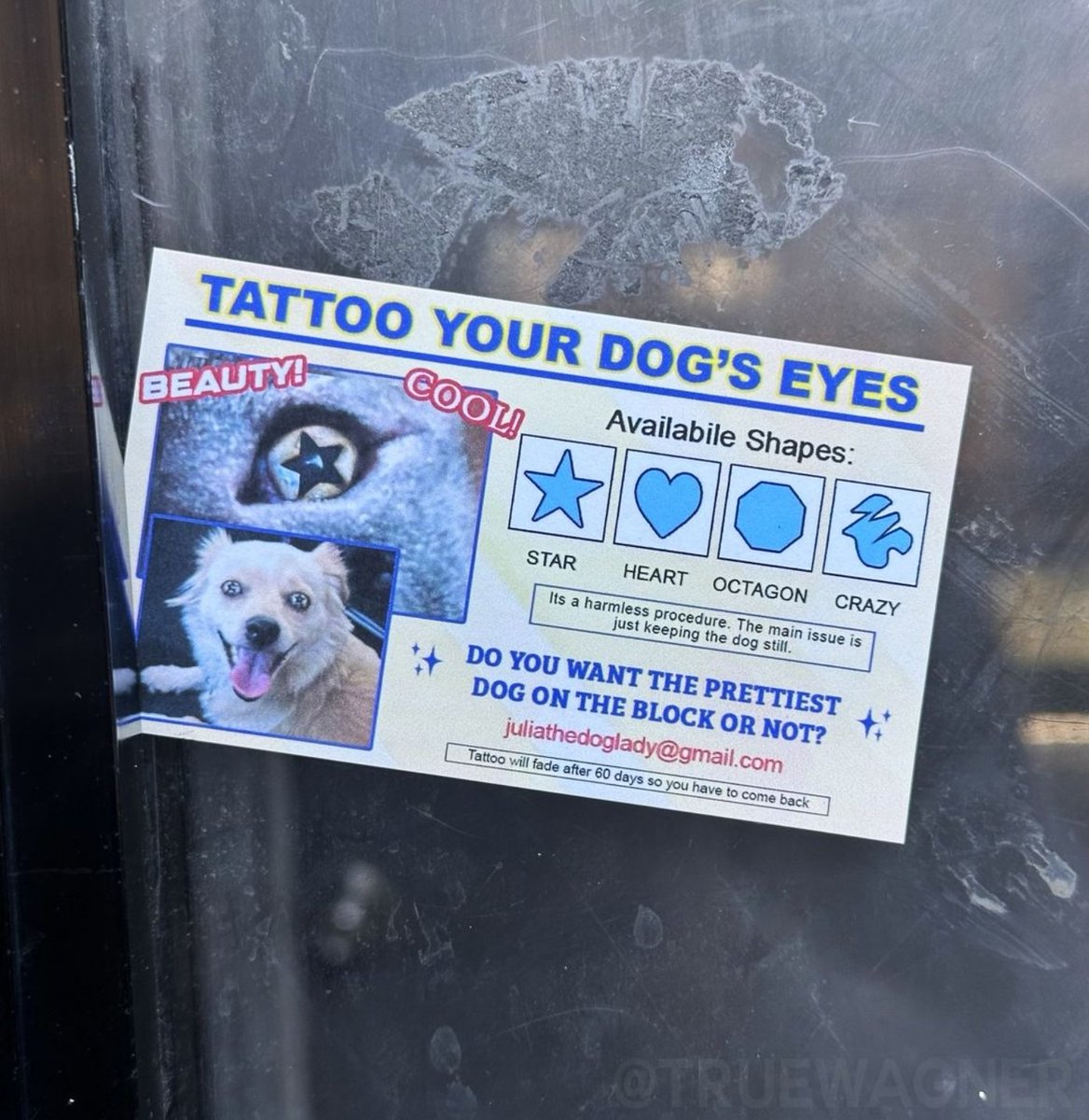 What did I wake up to ?!