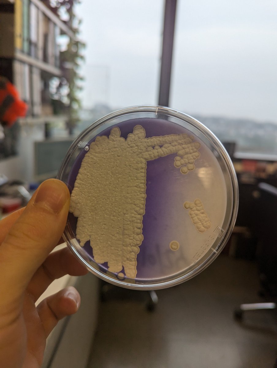 Sam Williams tweet media