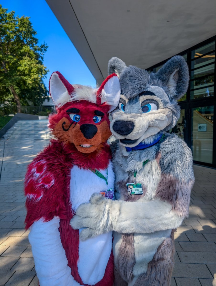 Adian Fangs (@adianfangs) on Twitter photo Happy #FursuitFriday  cuties :3 
Meeting <a href="/KibaIB/">Kiba 🐺</a> at #eurofurence28 was so sweet ♥️
I'm glad we got a photo together!
Wishing everyone a wonderful weekend! 😊
📸 by <a href="/Sayo_Flufftiger/">Sayorim</a> ♥️ Happy #FursuitFriday  cuties :3 
Meeting <a href="/KibaIB/">Kiba 🐺</a> at #eurofurence28 was so sweet ♥️
I'm glad we got a photo together!
Wishing everyone a wonderful weekend! 😊
📸 by <a href="/Sayo_Flufftiger/">Sayorim</a> ♥️