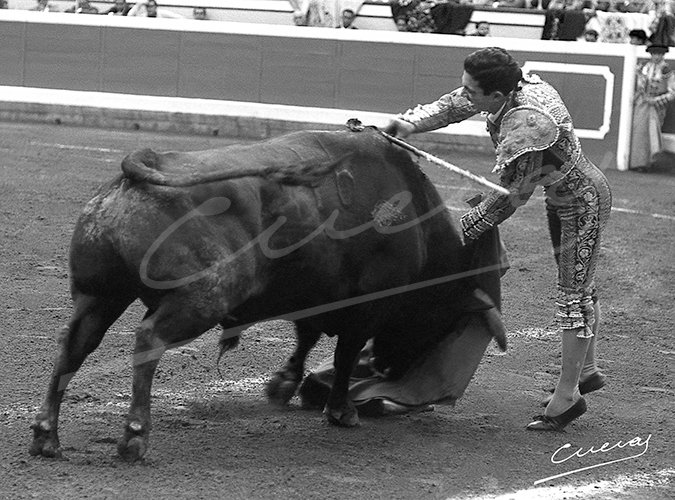 La pureza y perfección en la suerte suprema.
. 
- Paco Camino
.
👉Prohibida su reproducción total o parcial ©®