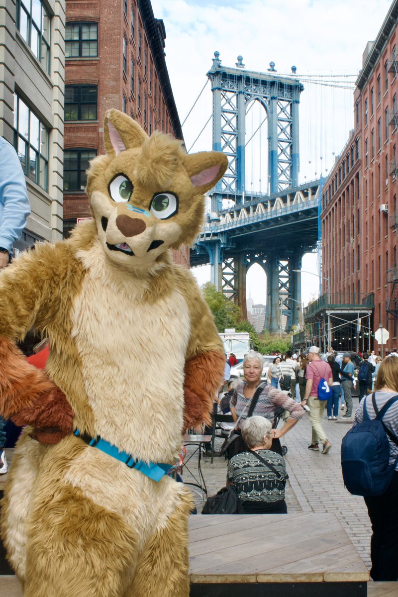 It's a beautiful day in Brooklyn, how's your #fursuitfriday ? Had a great time on Sunday walking with friends, def more pics to come

#fursuit #furry #furrycommunity #operafurry #manhattanbridge #dumbo