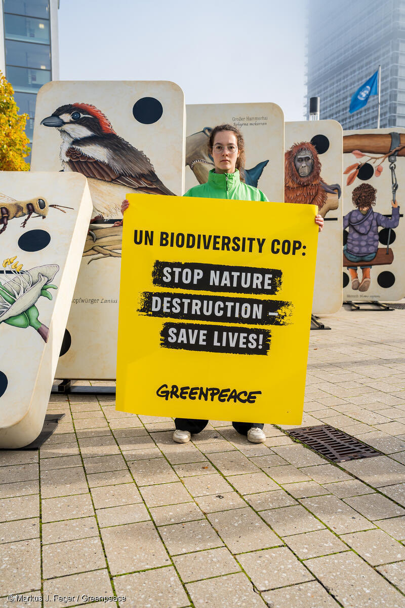 The UN 🇺🇳 CBD Biodiversity summit in  Colombia 🇨🇴 must send strong signals to countries to ramp up financial commitments + implement the Global Biodiversity Framework targets with ambitious NBSAPs and new laws for nature!
#HopeForNature
#PeaceWithNature
#CoP16
⁦<a href="/Greenpeace/">Greenpeace International</a>⁩