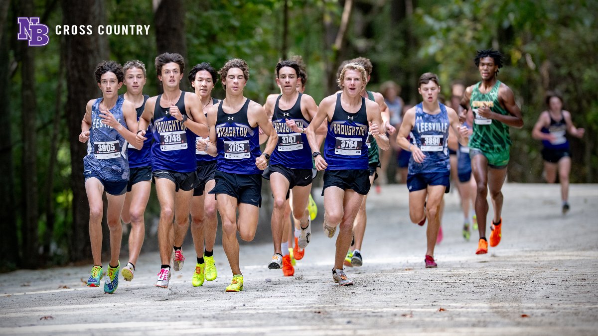 MarcRidelCreative tweet media