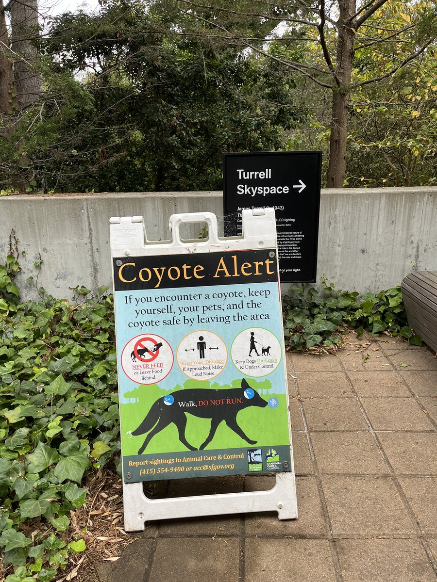 Peter Fallon tweet media