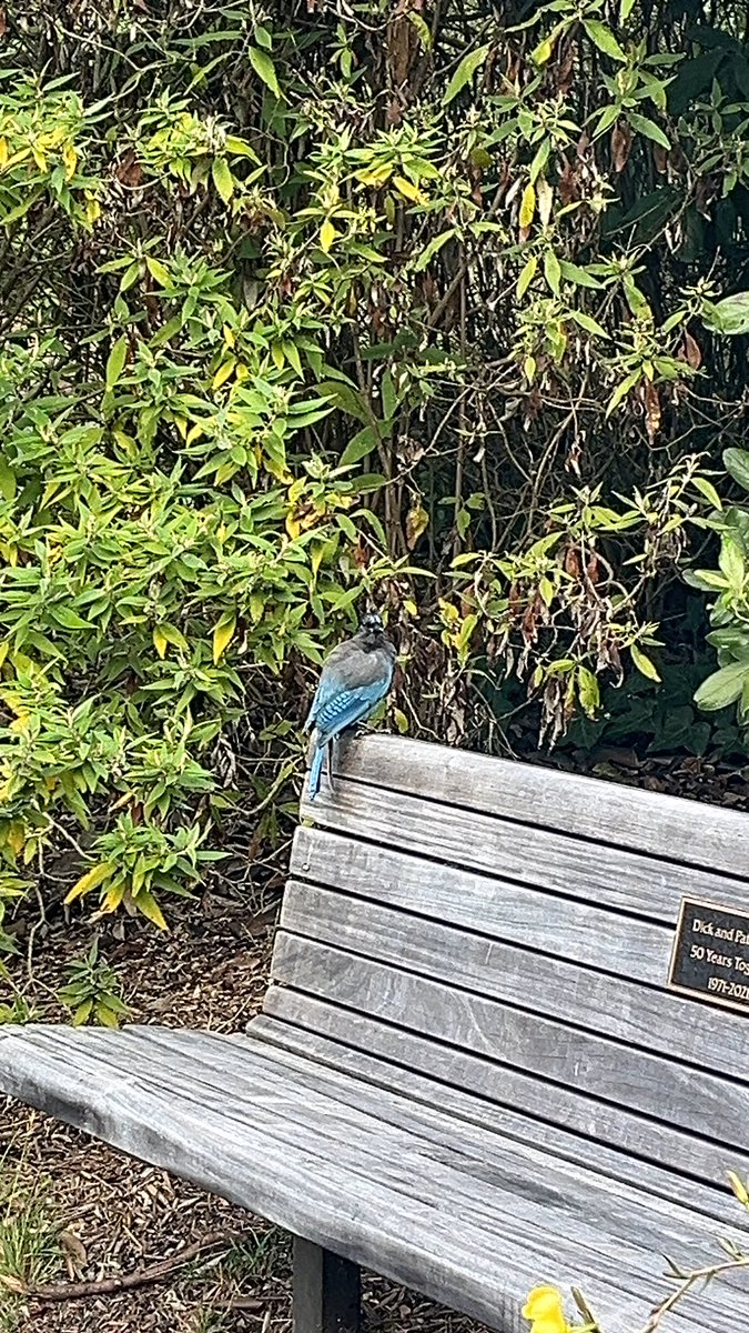 Peter Fallon tweet media