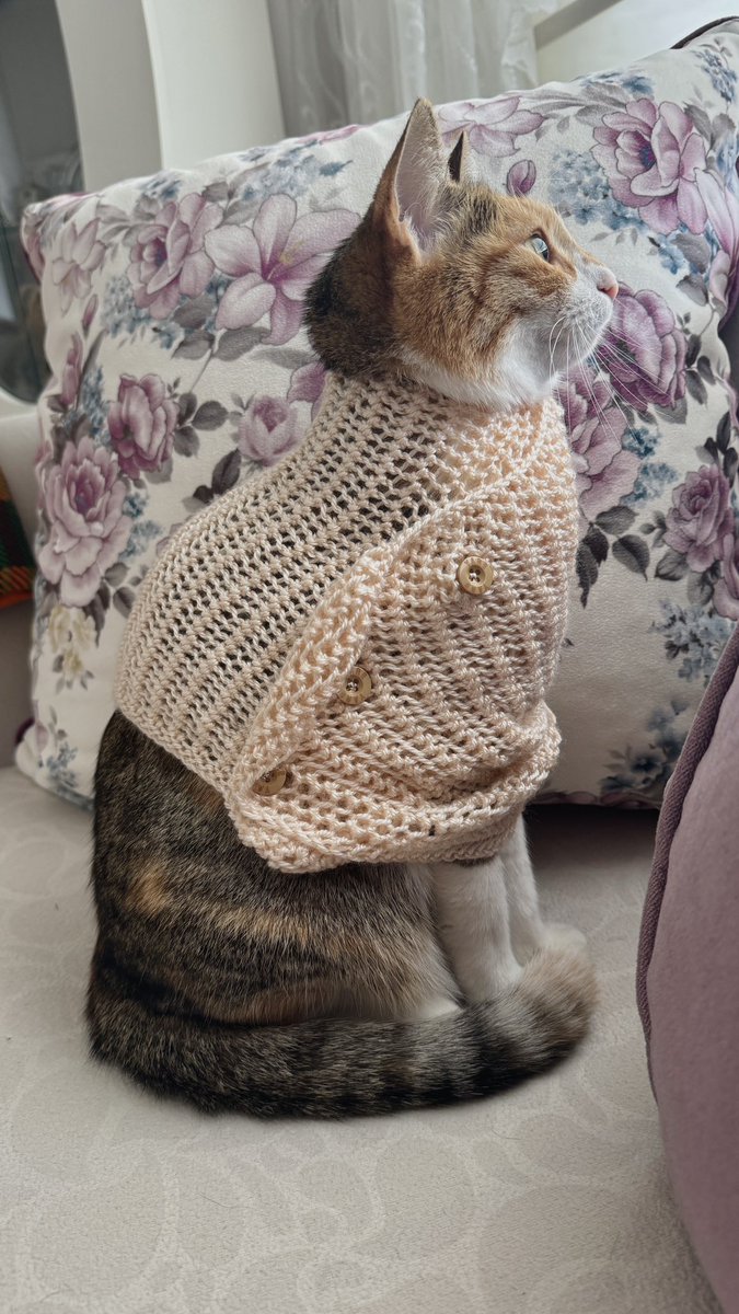 Havalr soğudu diye pançomu giydim siz de dükkt edin tostlarım