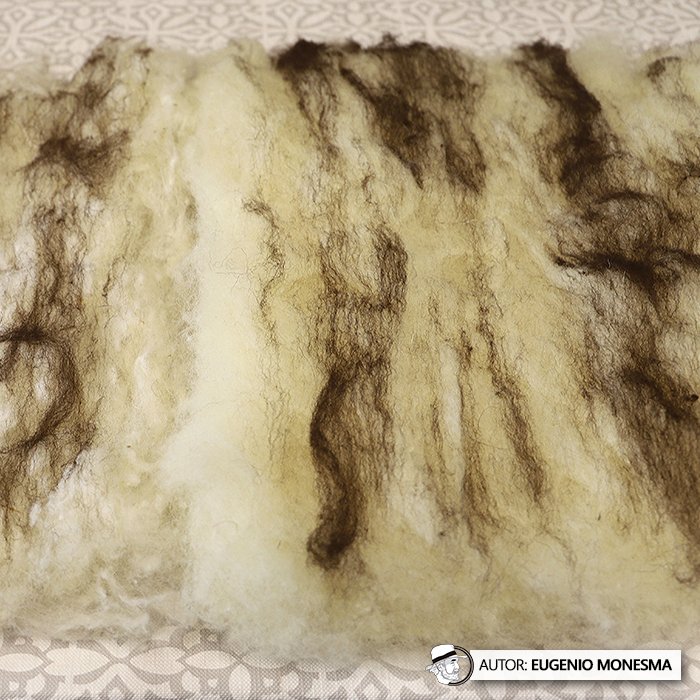 EugenioMonesma's tweet image. 🧶 ¿Sabías que el #fieltro es un #textil NO tejido de origen ancestral?

En 2023 Alain y Adriana me mostraron cómo elaboraban artesanalmente este producto milenario en láminas para utilizarlo en la confección de #prendas.

📽️ Documental COMPLETO (34&apos;): youtu.be/-P5tzwpvMCE