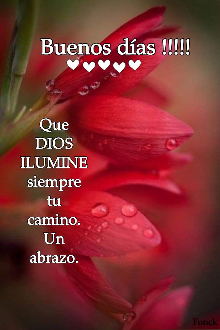 VictorG69723758's tweet photo. En la vida hay que mirar en cinco direcciones.
Adelante,para saber adónde vas.
Atrás,para no olvidar de donde vienes.
Abajo,para no pisar a nadie.
A los lados,para ver quién te apoya en las dificultades.
Y arriba,para tener presente que siempre hay alguien que te cuida y protege. https://t.co/mPVPZkmCgc