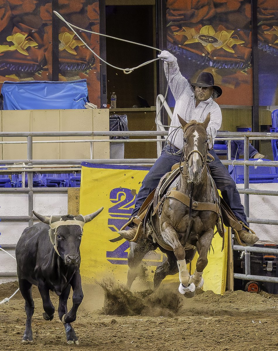 SweetJamesJGP3's tweet photo. Scottsdale rodeo September 2024. Canon EOS R6 Mark II and RF 24-240mm lens. #lightroomtravelcontest
#canon #photography #canonphotography
@thinktankphoto
#thinktankphoto #mythinktank #thinktanktravel #ventureobserveconnect https://t.co/6xrwmXwjAa