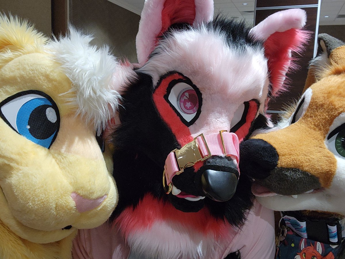 I had just an absolutely amazing time dancing with these  two at blfc! They made it quite the experience, and I'll pick it up as a hobby.
Would like to dance for even longer next time!
<a href="/ChristCheeseus/">Cheeseus Christ</a>
and  trenchfoxx <3