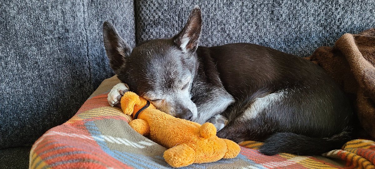 Dr. Kimberly Snary tweet media