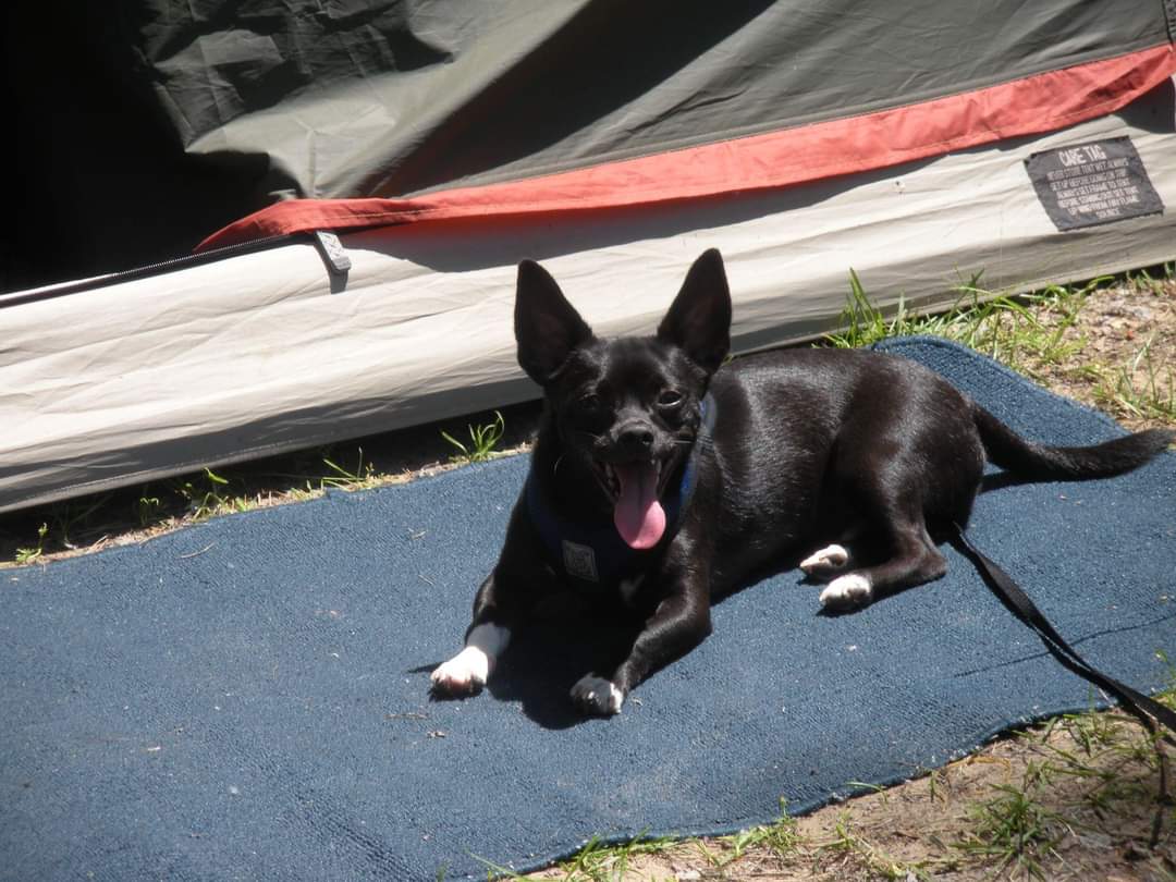 Dr. Kimberly Snary tweet media