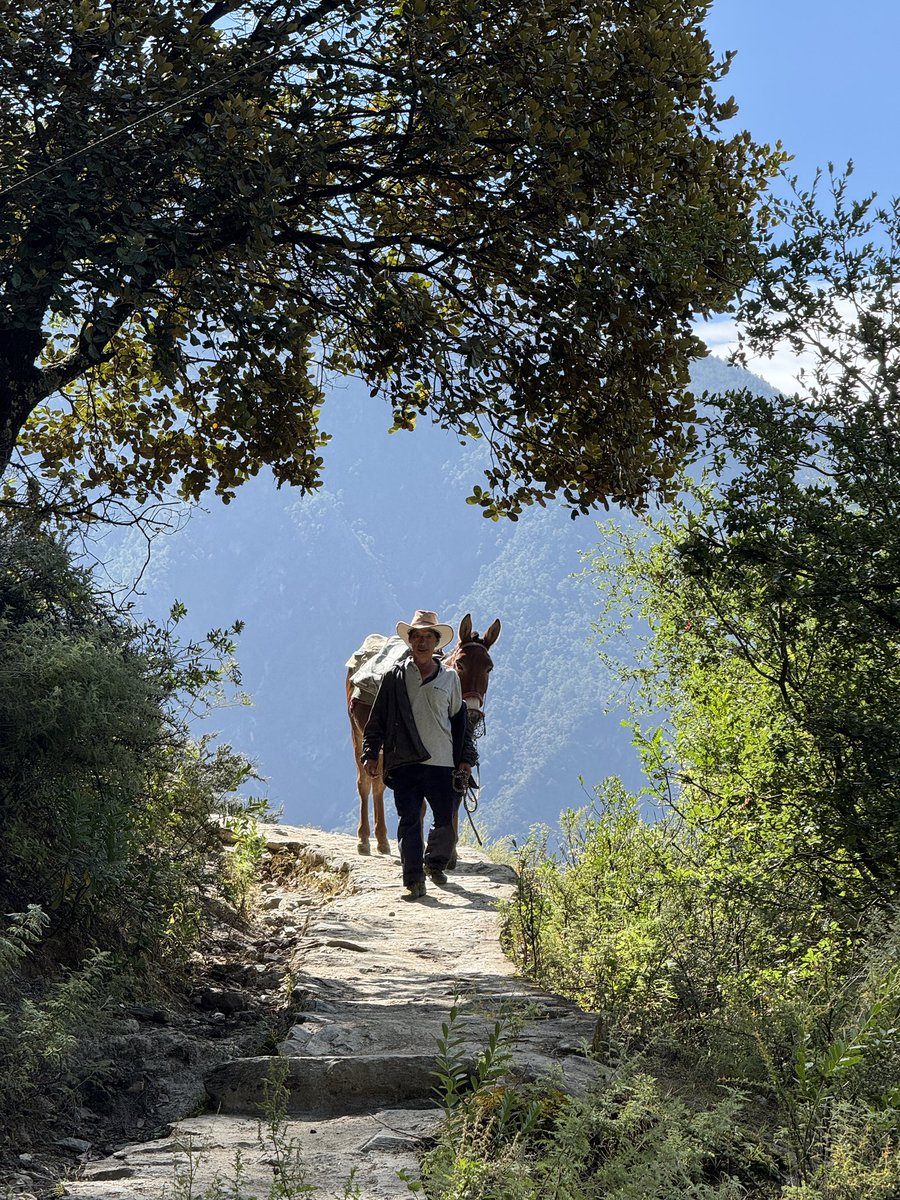 leo_edw's tweet image. Menjadi warlok hari ini wkwk