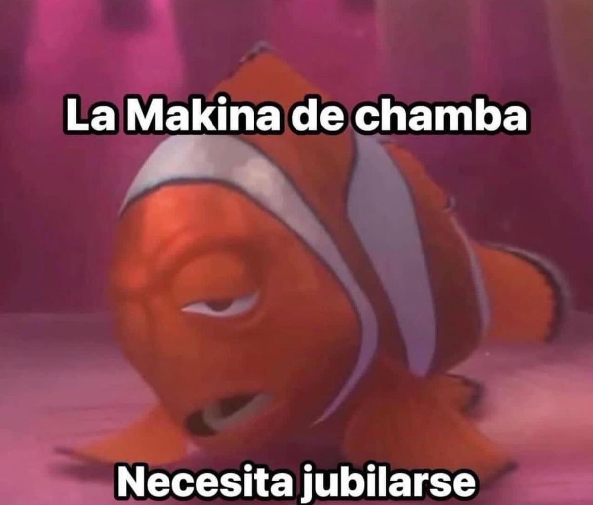 soyMargarlto's tweet photo. Dias https://t.co/vxNJpiPebk