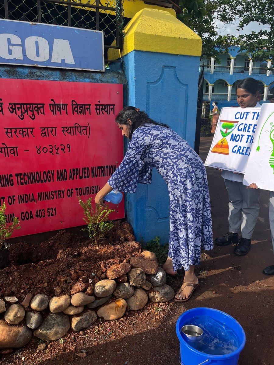 IHMGOA1's tweet photo. As part of the ongoing Tree plantation drive at Institute
of Hotel Management, a plantation drive was carried out
on 17/10/2024. The drive was led by faculty Mrs.
Mohini Khadji and Mrs. Reshmi Pillai with students of 1st, 3rd and 5th semester, Five saplings were planted. https://t.co/eXEzQySz26