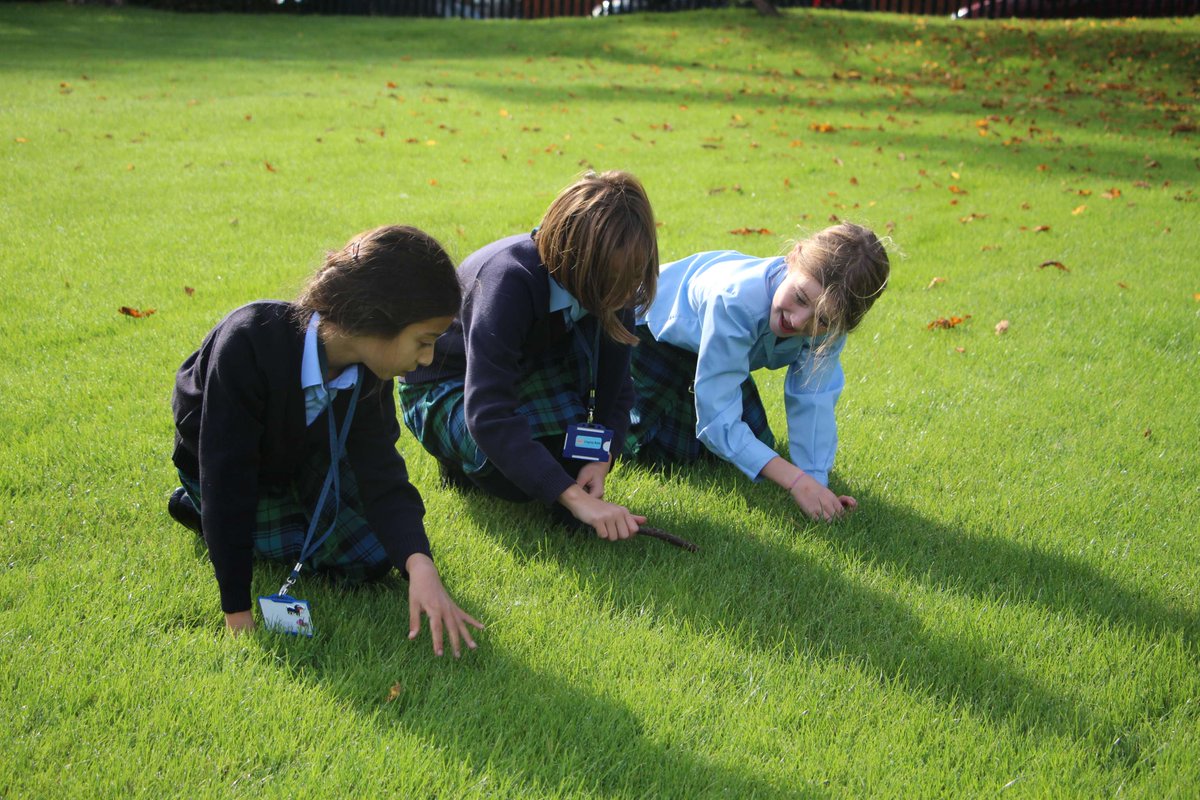 Sherborne Prep tweet media