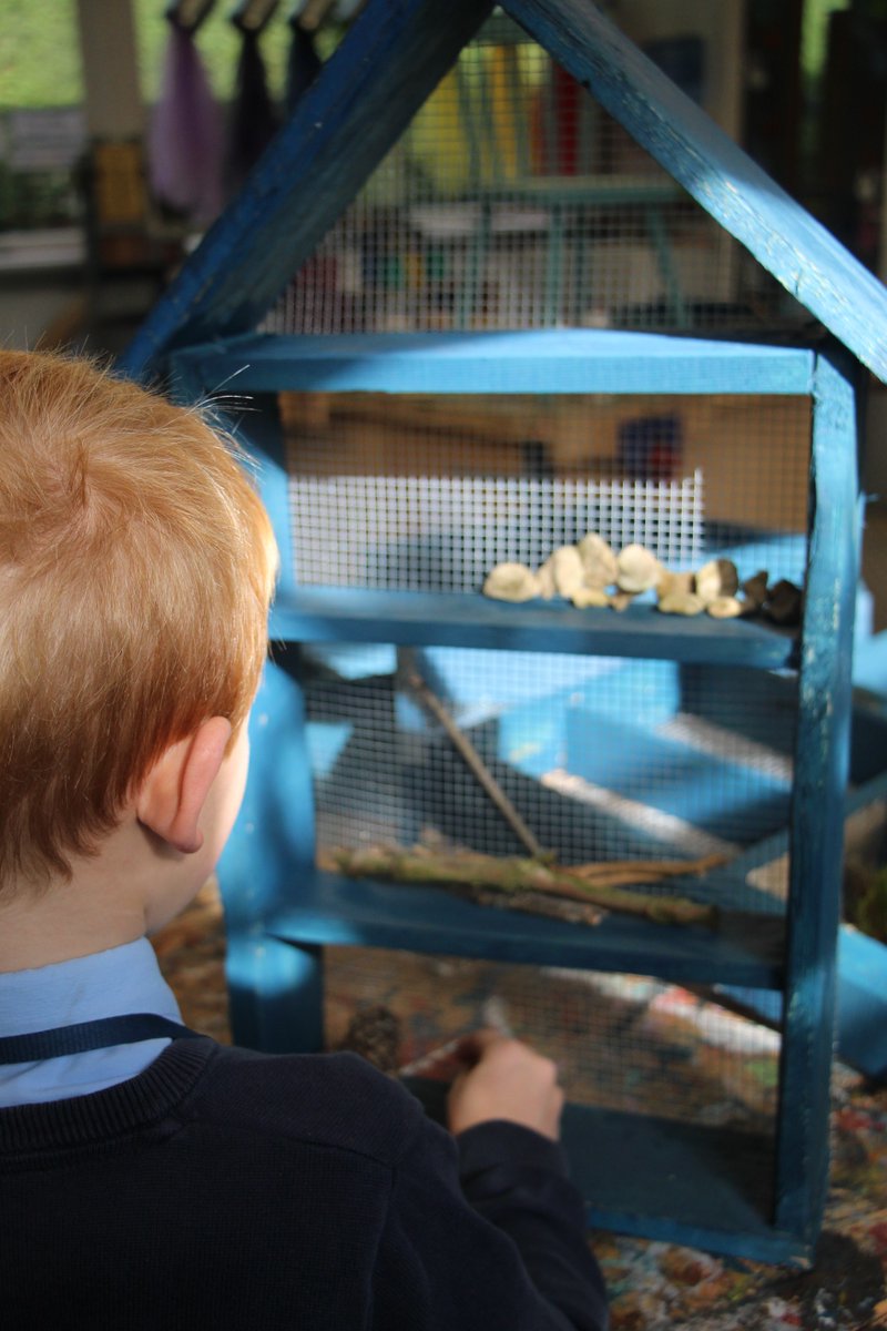 Exploring the school grounds high and low, our Year 4s spent their Design &amp; Technology lesson collecting moss, conkers, sticks and pinecones for their Bug Hotels.

To find out about our school curriculum, visit: sherborneprep.org/prep/curriculum

#sherborneprepschool #dorsetprepschool