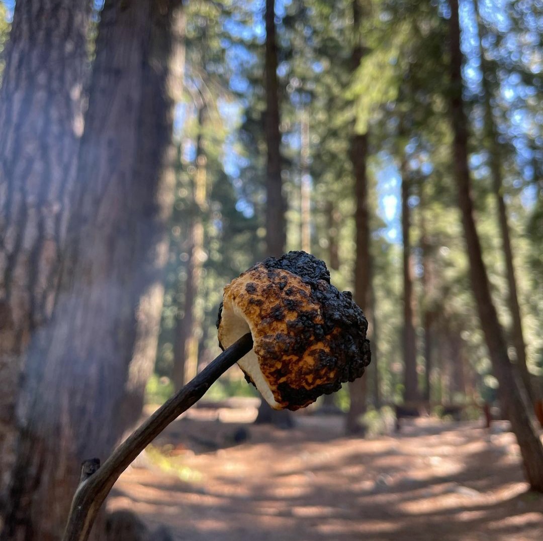brb! gone camping!!!
had the honor of celebrating @dirtybeej birthday and the honor of getting to eat some of @madeleinemaynard_ homemade carrot cake!!! can't wait till next time!!!
