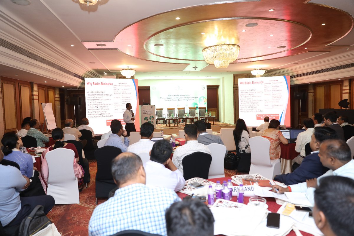 nrcpmohfw's tweet photo. Led by DGHS,MoHFW, Rabies Free City Initiative workshop was held on 17.10.2024 in Pune by COH-NCDC in collb. with PATH. Officials from 15 cities of 6 states joined to boost efforts toward zero dog-mediated rabies deaths by 2030 #RabiesFreeCity @NCDCMoHFW
@MoHFW_INDIA @PATHtweets https://t.co/UNrHTcBq4m
