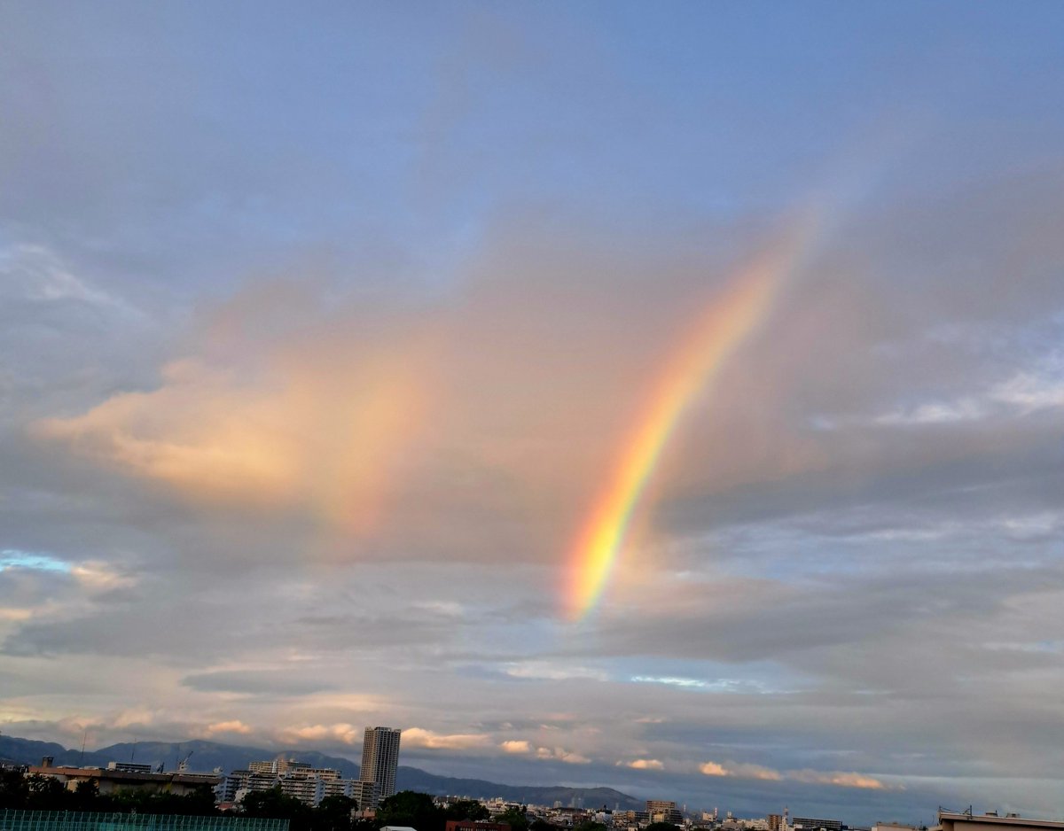 TOWA_ALMA_9999's tweet photo. #ダブルレインボー
#お裾分け
発生確率の低いダブルレインボーです🌈皆さんにも届け〜🫶
職場から(*ˊᵕˋo📷oﾊﾟﾁﾘ✦*
手ブレで少し分かりにくいかもですが実際はめちゃくちゃ綺麗でスタッフ皆で大興奮🥳✨笑記憶に残る虹🌈でした🙏✨ https://t.co/sEK6pfrhig