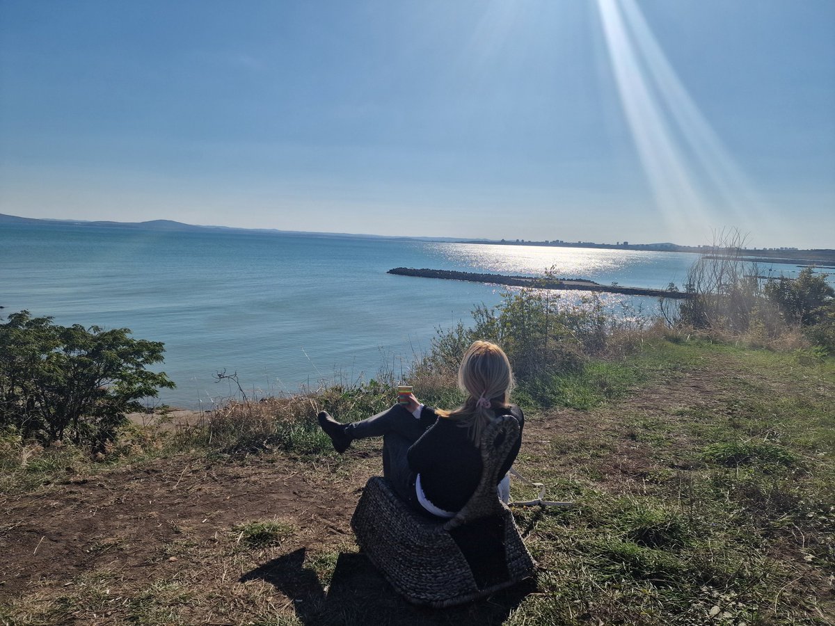 Sophia Proneikos tweet media