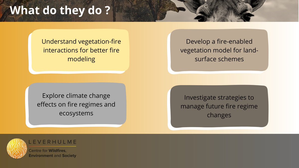 centrewildfires's tweet photo. 🚀 Big news from the Fire-Veg Giraffe Team! 
We're diving deep into the factors that shape wildfire patterns and making strides in our research! 🌍✨ 

🔗 More information:
https://t.co/naKDKQdZmn

#WildfireScience #ClimateResearch #FireModeling https://t.co/9mgBoBCgDT