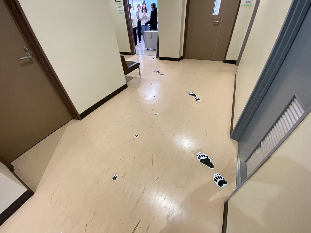 sizensi's tweet photo. な、なんだこれは？！！
自然史探偵団というサークルの部屋に続いていたぞ🤨自然史探偵団とは何者なんだ？

明日、明後日と不来方祭で展示・販売をするそうだ！
なかなか興味深いものが多いぜ…
剥製や標本もあるぞ！！

ー探検家Aの冒険譚ー https://t.co/VE9eUu2kBL