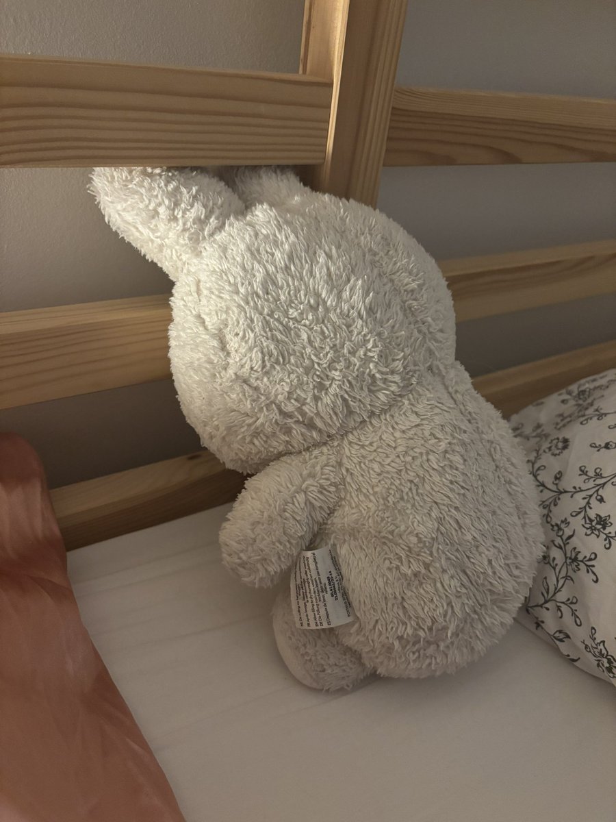 userchloe's tweet photo. je me reveille je vois miffy comme ça… pareil ma belle pareil…. https://t.co/znufpInbc7