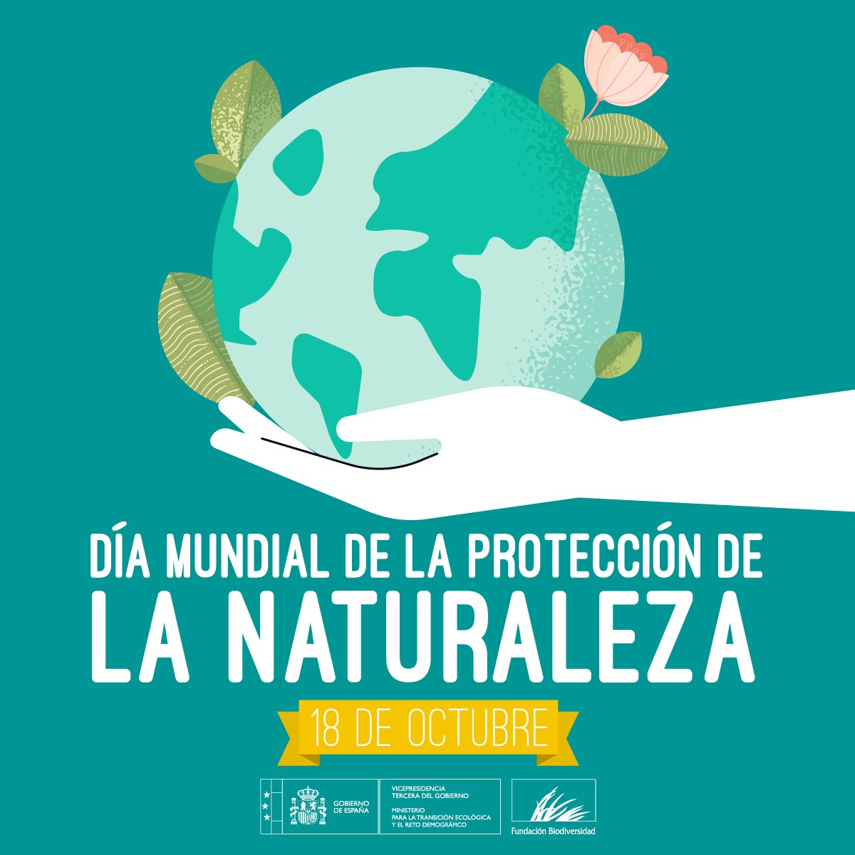 Los servicios que nos ofrece la #naturaleza tienen impacto sobre nuestra ❤️ salud, nuestra 🌟 calidad de vida o nuestro 📈 desarrollo económico.

La conservación y restauración de la naturaleza y el uso sostenible de los recursos es clave para nuestro futuro.
