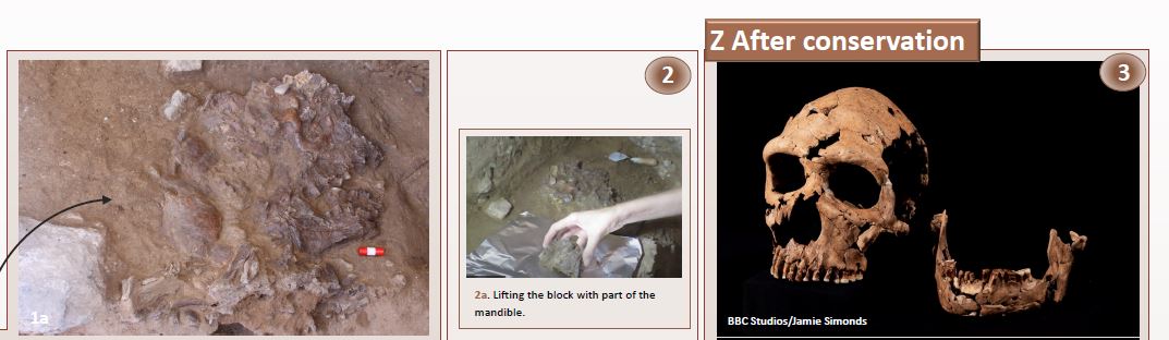 Lucía López-Polín (@lucia_lpolin) on Twitter photo #FossilFriday Happy to share our poster presented at #ESHE2024 meeting: The Conservation of #ShanidarZ at a Glance (or when conservation is crucial to study little bits of the past) 👇repository.cam.ac.uk/handle/1810/37…
<a href="/iphes/">IPHES-CERCA</a> <a href="/CamBioanth/">CambridgeBioAnth</a> <a href="/ESHE_society/">ESHE</a> #FossilFriday Happy to share our poster presented at #ESHE2024 meeting: The Conservation of #ShanidarZ at a Glance (or when conservation is crucial to study little bits of the past) 👇repository.cam.ac.uk/handle/1810/37…
<a href="/iphes/">IPHES-CERCA</a> <a href="/CamBioanth/">CambridgeBioAnth</a> <a href="/ESHE_society/">ESHE</a>
