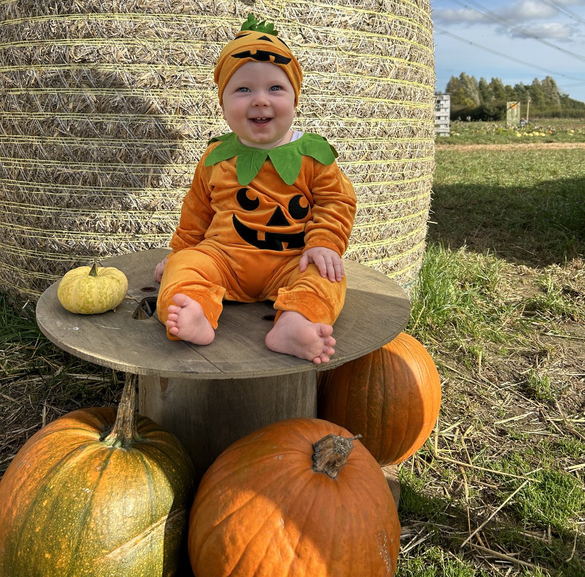 Matthew McCloud tweet media