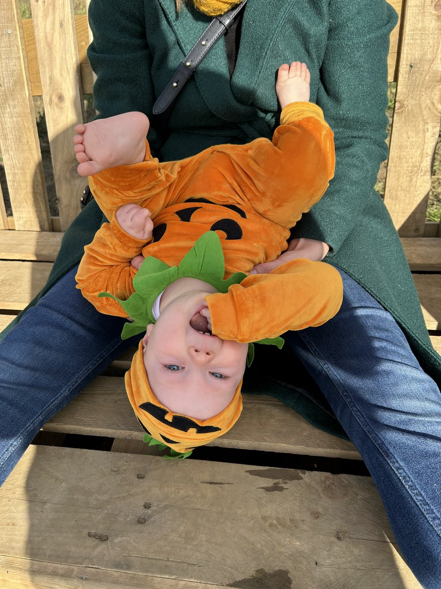 Matthew McCloud tweet media