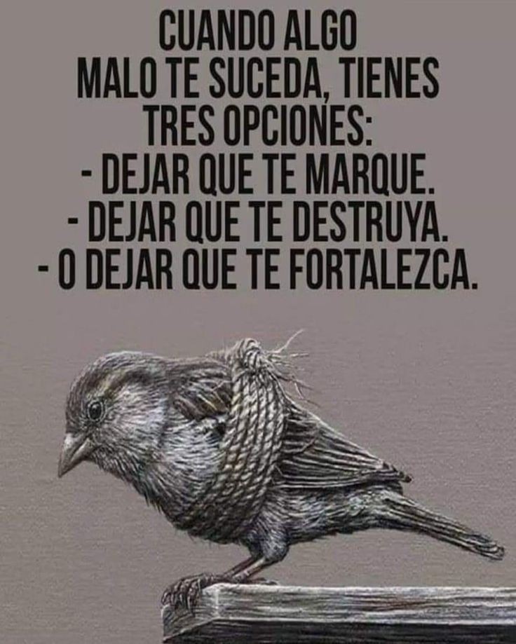 EscueladeVida21's tweet photo. https://t.co/FuHMVeZfBq