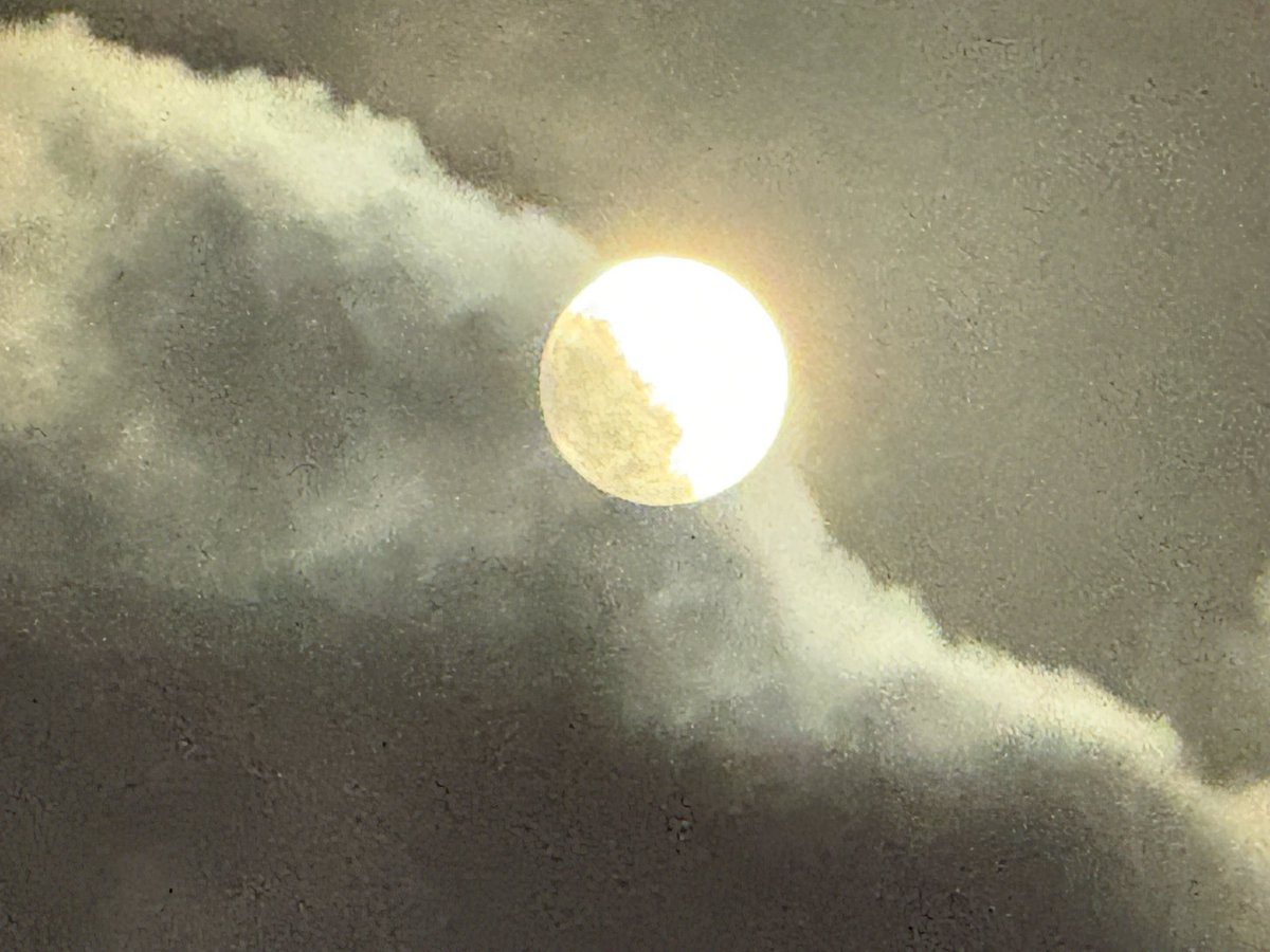 teslabot321 tweet media